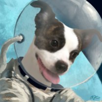 Raffle Art Winner! Raised $4000 for PAWS Chicago! "Wilber in Space" • April 2019