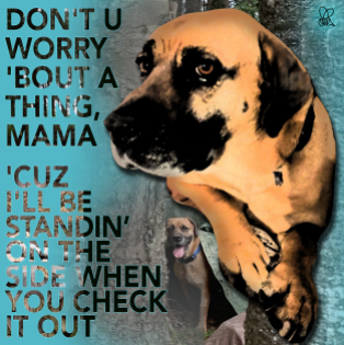 PawPrint Emotional Guard Dog Rudy 2020